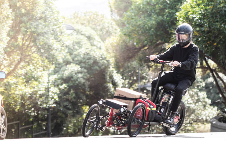 Electric cargo trike